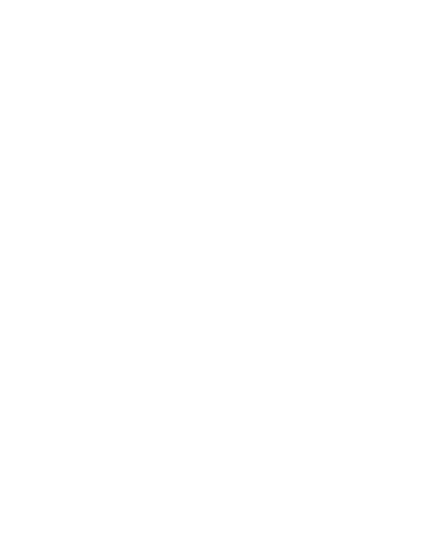 Ace World